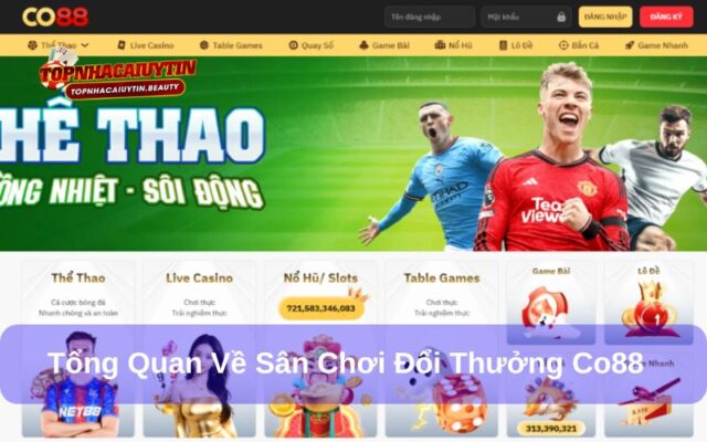 CO88 – Nhà Cái Trực Tuyến Uy Tín Hàng Đầu Việt Nam