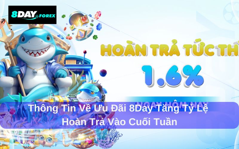Chi tiết chính sách hoàn trả vào cuối tuần của 8day
