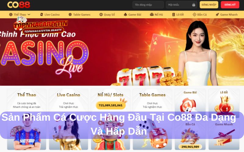 CO88 cung cấp hệ thống cá cược đa dạng 