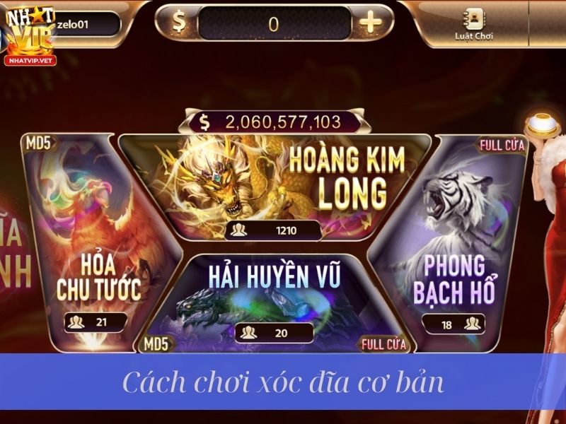 Cách chơi xóc đĩa cơ bản