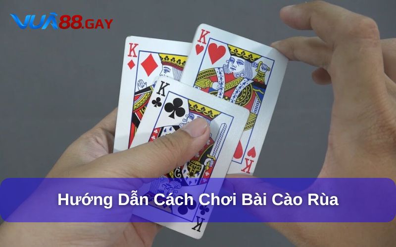 Cách tham gia chơi bài Cào Rùa tại Vua88