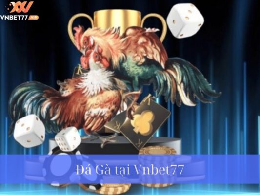 Hướng Dẫn Tham Gia Cá Cược Đá Gà Online Tại Vnbet77